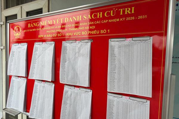 Pháp luật bầu cử quy định thế nào về giải quyết khiếu nại đối với danh sách cử tri?