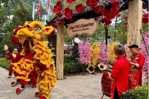 Chợ tết Ciputra 2026: Xuân truyền thống trong lòng đô thị quốc tế