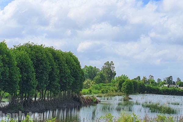 Cà Mau: Thêm một trường hợp được Chủ tịch UBND tỉnh kết luận khiếu nại có cơ sở