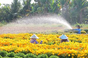 Đồng Tháp: Phát triển công nghiệp môi trường gắn với tăng cường quản lý, giám sát