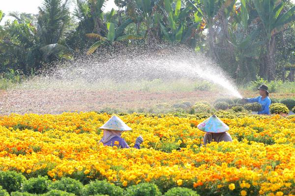 Đồng Tháp: Phát triển công nghiệp môi trường gắn với tăng cường quản lý, giám sát