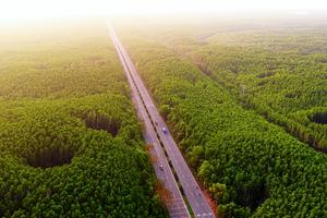 Vinhomes Green Paradise Cần Giờ thành đường đua cực đỉnh của 5.000 runner, mở ra tiềm năng đón 40 triệu du khách mỗi năm