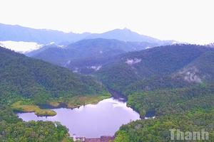 Sinh kế nông nghiệp không gây mất rừng: Hướng đi bền vững cho Tây Nguyên