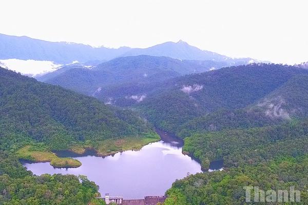 Sinh kế nông nghiệp không gây mất rừng: Hướng đi bền vững cho Tây Nguyên