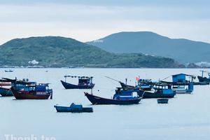 Làm sạch biển, giữ sinh kế: Hành động đẹp của Biên phòng Khánh Hòa