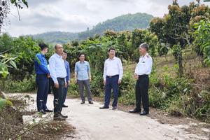 Giám sát hoạt động thanh tra gắn với an sinh xã hội tại cơ sở