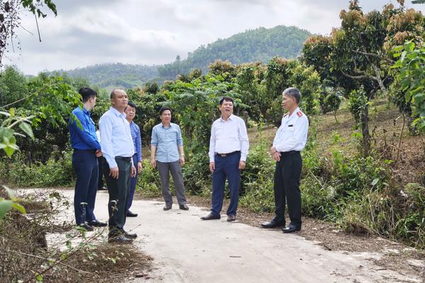 Giám sát hoạt động thanh tra gắn với an sinh xã hội tại cơ sở