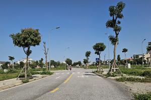 Hải Phòng chỉ rõ sai phạm nhiều khâu tại dự án Khu dân cư Trái Bầu