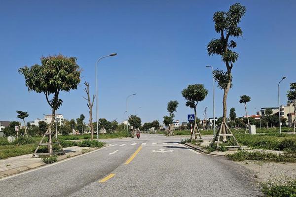 Hải Phòng chỉ rõ sai phạm nhiều khâu tại dự án Khu dân cư Trái Bầu