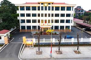 Phú Thọ: Xử phạt nhiều vi phạm trong sản xuất, kinh doanh vật tư nông nghiệp