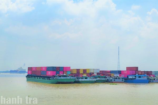 Giá cước vận tải leo thang, doanh nghiệp tìm lối ra cho hàng hóa bằng cách nào?