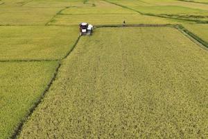 Từ hỗ trợ sinh kế đến hiệu quả: Một lát cắt từ kết luận thanh tra