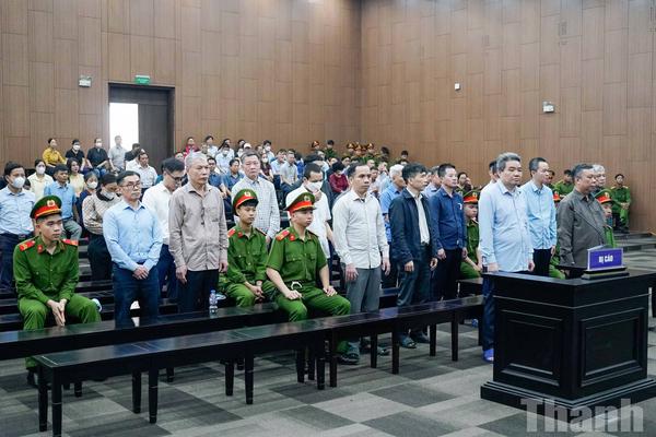 Cựu Thứ trưởng Bộ Nông nghiệp và Phát triển nông thôn và 22 bị cáo hầu toà