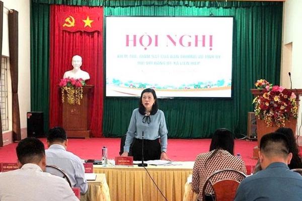 Đoàn kiểm tra, giám sát của Tỉnh ủy Tuyên Quang làm việc tại xã Liên Hiệp