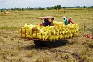 Đồng Tháp tăng cường kiểm tra đào tạo nghề tại nông thôn