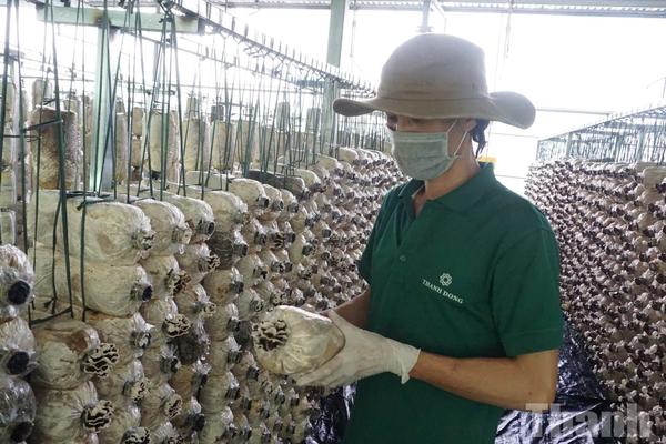 Đắk Lắk: Tăng lực cho doanh nghiệp nhỏ và vừa