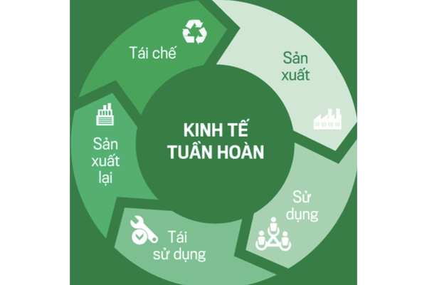 Đồng Tháp triển khai mạnh mẽ kế hoạch hành động quốc gia về kinh tế tuần hoàn