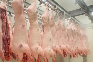 Đồng Tháp: Tăng cường thanh tra, kiểm soát chặt chẽ nguồn gốc động vật đưa vào giết mổ