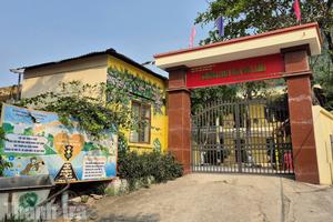 Thái Nguyên: Kiểm tra dấu hiệu vi phạm Hiệu trưởng Trường Mầm non Hòa Bình