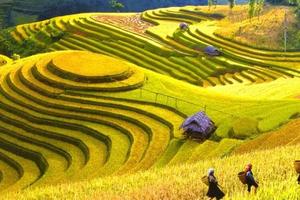 Du lịch Điện Biên chạm mốc gần 1.000 tỷ đồng