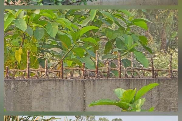 Kỳ 1: Những nhịp cầu “hoen gỉ” trước cửa lên sân bay