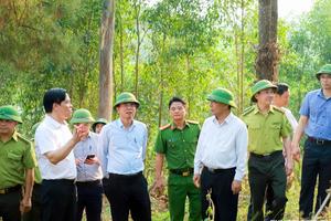 Nghệ An: Siết kỷ luật phòng cháy rừng trước cao điểm nắng nóng