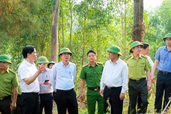 Nghệ An: Siết kỷ luật phòng cháy rừng trước cao điểm nắng nóng