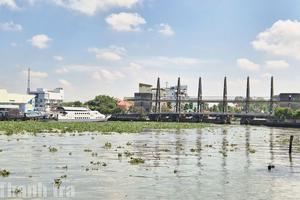 Đồng bằng sông Cửu Long chủ động ứng phó xâm nhập mặn