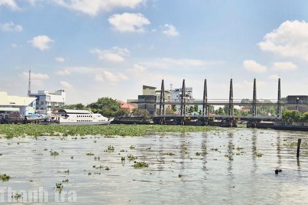 Đồng bằng sông Cửu Long chủ động ứng phó xâm nhập mặn