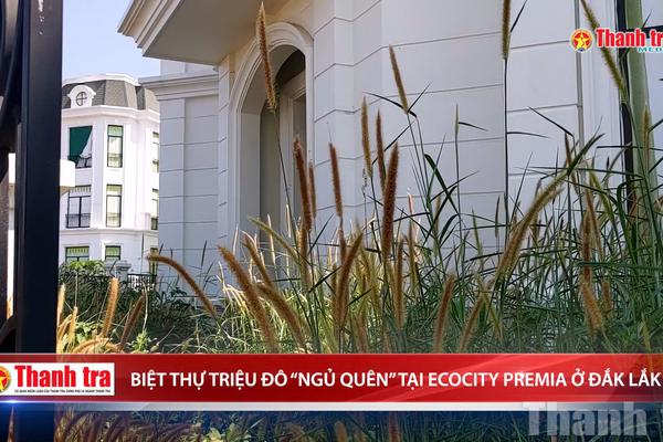 Biệt thự triệu đô "ngủ quên" tại EcoCity Premia ở Đắk Lắk