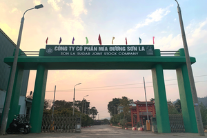 Thanh tra chỉ rõ vi phạm về sử dụng đất tại Công ty Cổ phần Mía đường Sơn La và Công ty Cổ phần Phúc Sinh Sơn La