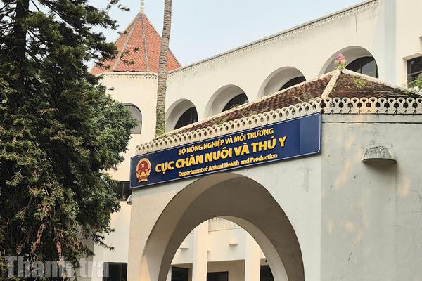 Kiến nghị xây dựng lộ trình xóa bỏ giết mổ nhỏ lẻ sau kiểm tra