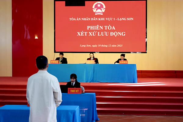 TAND hai cấp không có trường hợp kết án oan, bỏ lọt tội phạm