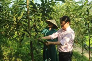 Dòng chảy tín dụng chính sách nơi trung du miền núi Thái Nguyên