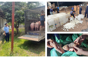 Thực phẩm "bẩn" tìm đường "chạy" vào thị trường: Ngăn chặn từ đâu?