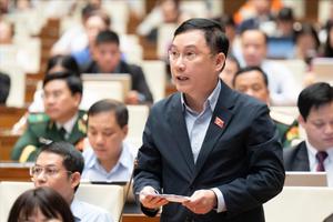 “Việt Nam đang chạy marathon với đôi chân bị trói, vốn bị giam trong tài sản đầu cơ”