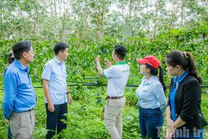 Đắk Lắk: Siết chặt an toàn thực phẩm, thúc đẩy chế biến và mở rộng thị trường nông sản