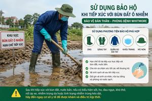 Bộ Y tế cảnh báo bệnh Whitmore: Diễn biến nặng, nguy cơ tử vong cao nếu chủ quan