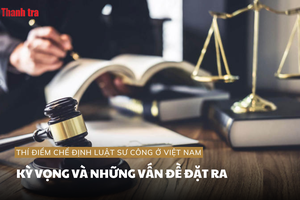 Thí điểm chế định luật sư công ở Việt Nam: Kỳ vọng và những vấn đề đặt ra
