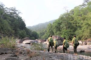 Đắk Lắk: Tăng cường quản lý và bảo vệ rừng, giữ “lá chắn xanh” của Tây Nguyên
