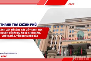 Thành lập Tổ công tác về thanh tra chuyên đề các dự án có khó khăn, vướng mắc, tồn đọng kéo dài
