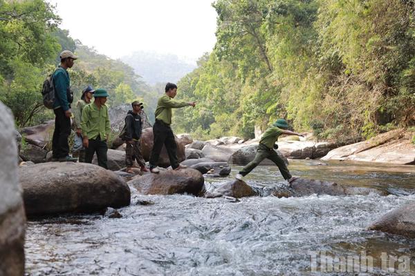 Kiểm lâm Đắk Lắk “bám” rừng giữ bình yên đại ngàn