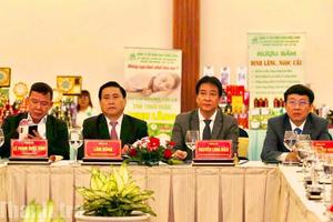 Mở cực tăng trưởng phía Nam Khánh Hoà: Ninh Chữ bước vào cuộc chơi du lịch quốc gia