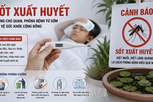 Bệnh sốt xuất huyết gia tăng với hơn 31.900 ca mắc, 4 ca tử vong