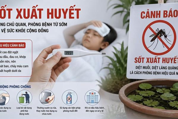 Bệnh sốt xuất huyết gia tăng với hơn 31.900 ca mắc, 4 ca tử vong