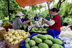 Đồng Tháp mở lối cho phát triển nông sản