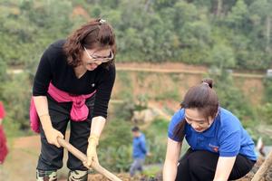 Thanh tra tỉnh Cao Bằng: Chủ động phòng ngừa rủi ro, bảo đảm an toàn lao động