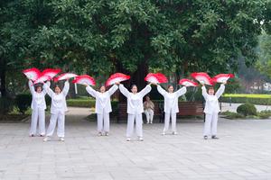 Phương Đông Asahi - Dấu gạch nối hoàn hảo giữa nhu cầu an sinh và xu hướng kinh tế bạc tại Việt Nam