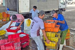 An Giang đặt mục tiêu khu vực tư nhân đóng góp trên 85% GRDP vào năm 2030