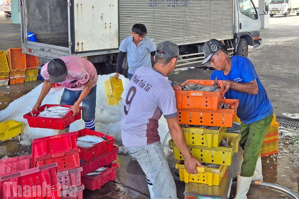 An Giang đặt mục tiêu khu vực tư nhân đóng góp trên 85% GRDP vào năm 2030
